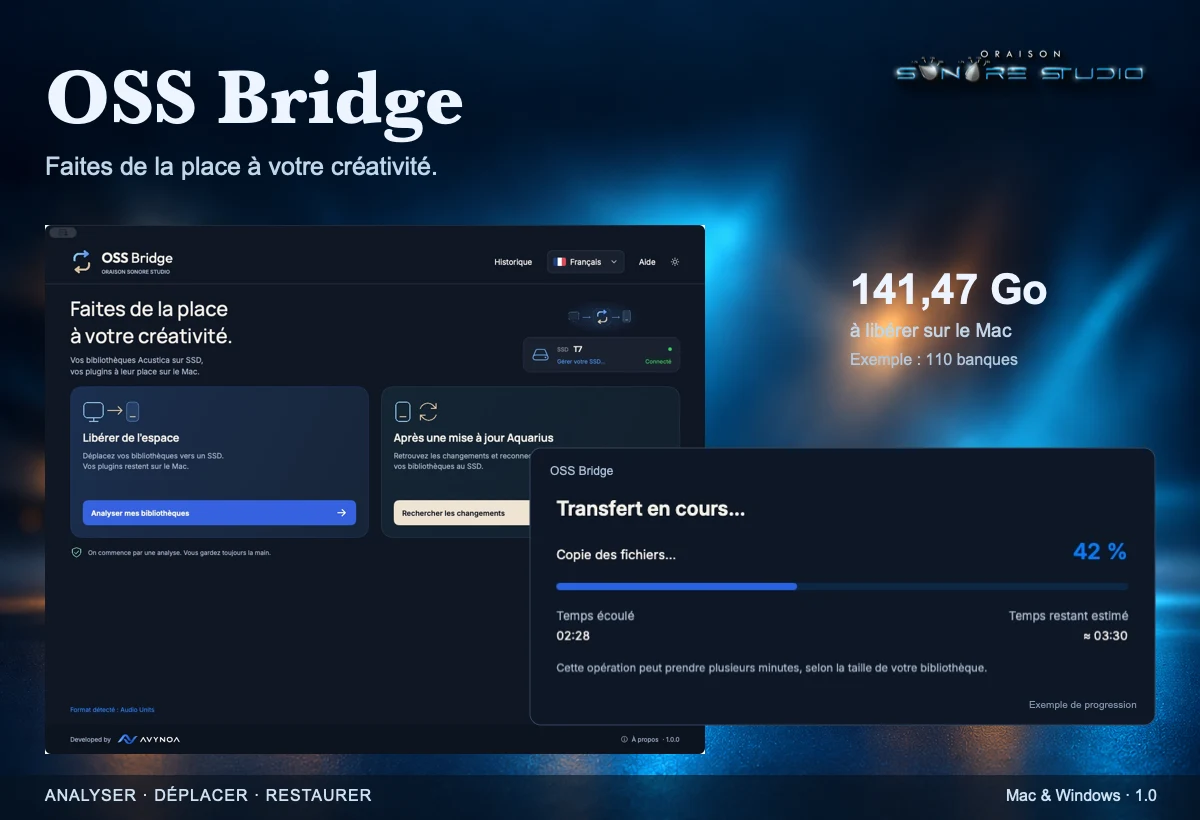 OSS Bridge : écran d’accueil et transfert des bibliothèques, avec un éclairage bleu et ambré.
